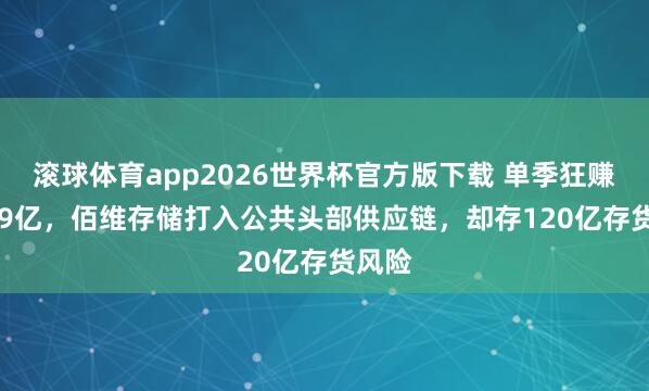 滚球体育app2026世界杯官方版下载 单季狂赚28.99亿，佰维存储打入公共头部供应链，却存120亿存货风险