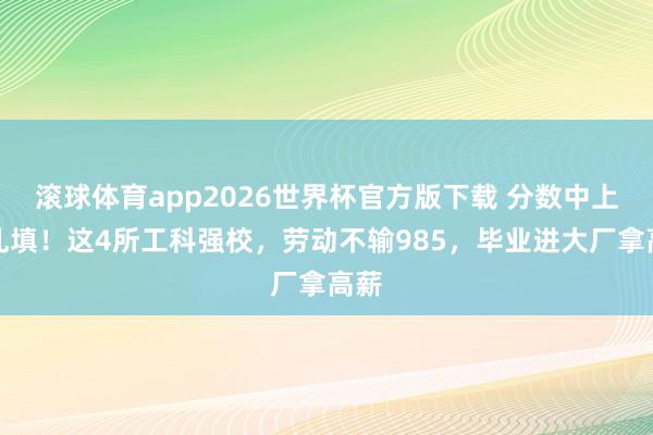 滚球体育app2026世界杯官方版下载 分数中上别乱填！这4所工科强校，劳动不输985，毕业进大厂拿高薪
