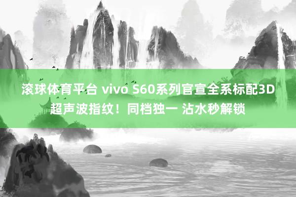 滚球体育平台 vivo S60系列官宣全系标配3D超声波指纹！同档独一 沾水秒解锁