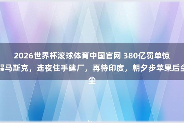 2026世界杯滚球体育中国官网 380亿罚单惊醒马斯克，连夜住手建厂，再待印度，朝夕步苹果后尘