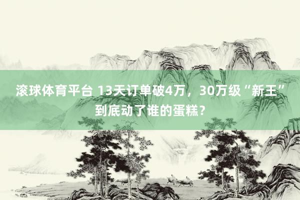 滚球体育平台 13天订单破4万，30万级“新王”到底动了谁的蛋糕？