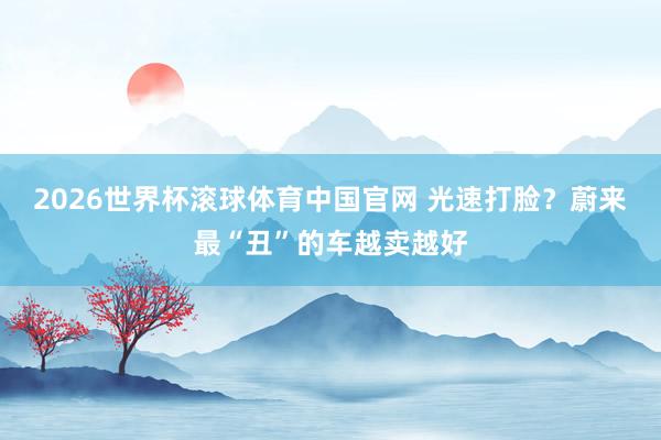 2026世界杯滚球体育中国官网 光速打脸？蔚来最“丑”的车越卖越好