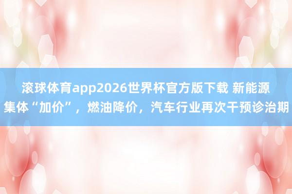 滚球体育app2026世界杯官方版下载 新能源集体“加价”，燃油降价，汽车行业再次干预诊治期