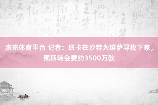 滚球体育平台 记者：纽卡在沙特为维萨寻找下家，预期转会费约3500万欧