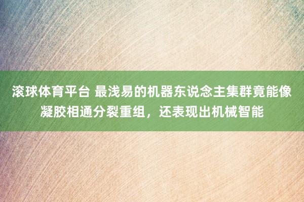 滚球体育平台 最浅易的机器东说念主集群竟能像凝胶相通分裂重组，还表现出机械智能