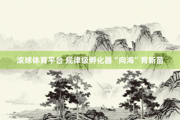 滚球体育平台 规律级孵化器“向海”育新苗