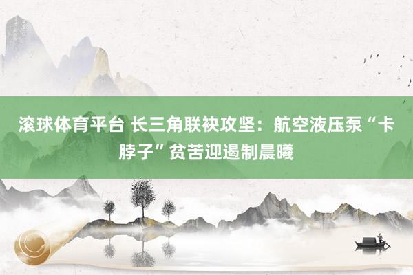 滚球体育平台 长三角联袂攻坚：航空液压泵“卡脖子”贫苦迎遏制晨曦