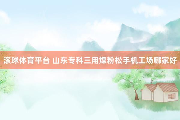 滚球体育平台 山东专科三用煤粉松手机工场哪家好