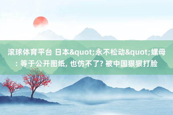 滚球体育平台 日本"永不松动"螺母: 等于公开图纸， 也仿不了? 被中国狠狠打脸