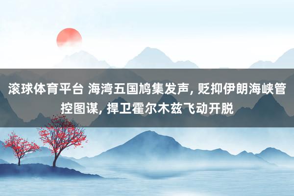 滚球体育平台 海湾五国鸠集发声， 贬抑伊朗海峡管控图谋， 捍卫霍尔木兹飞动开脱