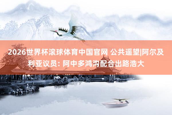 2026世界杯滚球体育中国官网 公共遥望|阿尔及利亚议员: 阿中多鸿沟配合出路浩大