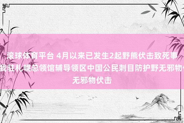 滚球体育平台 4月以来已发生2起野熊伏击致死事件， 我驻札幌总领馆辅导领区中国公民刺目防护野无邪物伏击