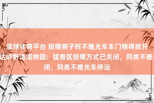 滚球体育平台 投喂狮子时不雅光车车门倏得掀开! 造访八达岭野活泼物园：猛兽区投喂方式已关闭，同类不雅光车停运