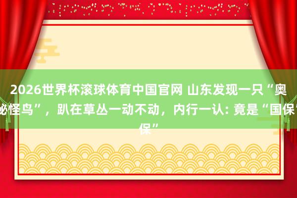 2026世界杯滚球体育中国官网 山东发现一只“奥秘怪鸟”，趴在草丛一动不动，内行一认: 竟是“国保”