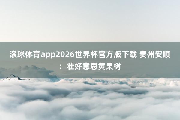 滚球体育app2026世界杯官方版下载 贵州安顺：壮好意思黄果树
