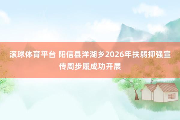 滚球体育平台 阳信县洋湖乡2026年扶弱抑强宣传周步履成功开展