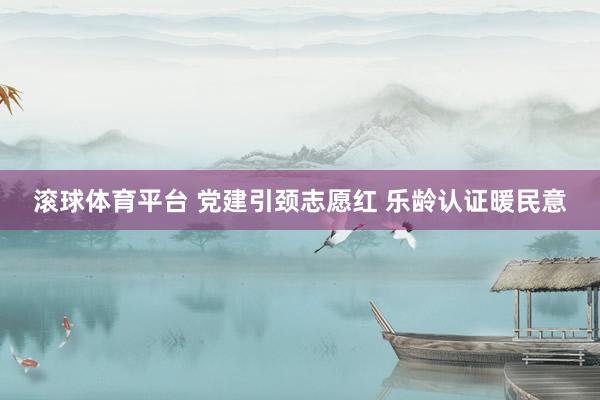 滚球体育平台 党建引颈志愿红 乐龄认证暖民意