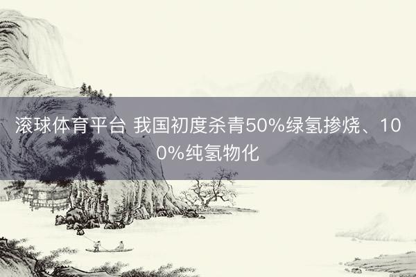滚球体育平台 我国初度杀青50%绿氢掺烧、100%纯氢物化