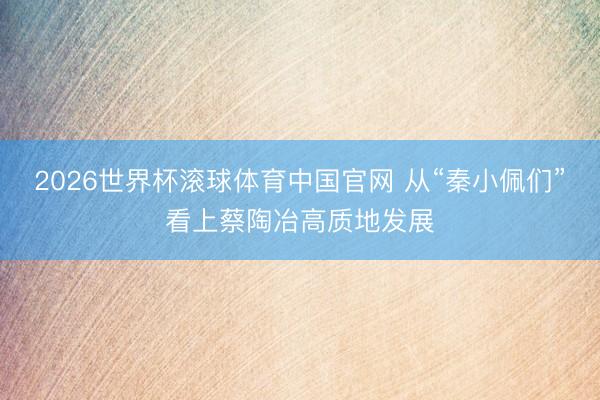 2026世界杯滚球体育中国官网 从“秦小佩们”看上蔡陶冶高质地发展