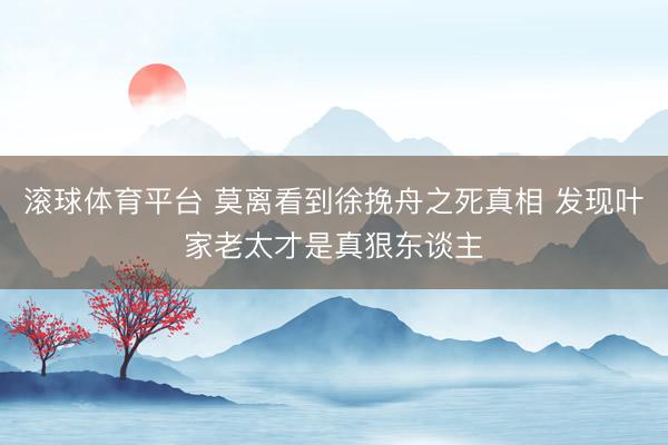 滚球体育平台 莫离看到徐挽舟之死真相 发现叶家老太才是真狠东谈主