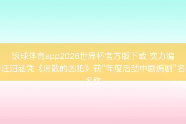 滚球体育app2026世界杯官方版下载 实力编剧汪汨涵凭《消散的凶犯》获“年度后劲中剧编剧”名称